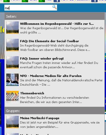 Beispielanzeige des Suchfeldes