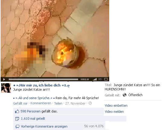 Gewaltdarstellungen als Popularitätshilfe für Seitenbetreiber auf Facebook Gewaltdarstellungen als Popularitätshilfe für Seitenbetreiber auf Facebook