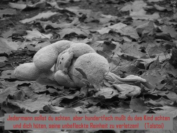 Seitenbild